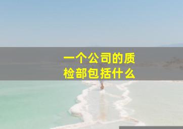 一个公司的质检部包括什么