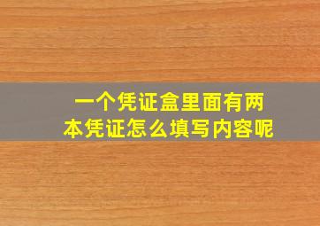 一个凭证盒里面有两本凭证怎么填写内容呢