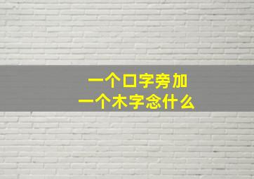 一个口字旁加一个木字念什么