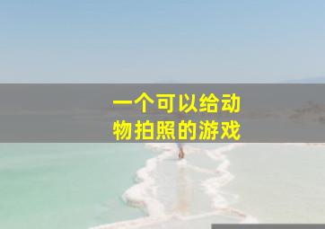 一个可以给动物拍照的游戏