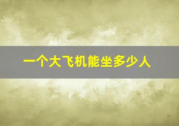 一个大飞机能坐多少人