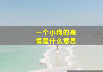 一个小狗的表情是什么意思