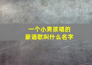 一个小男孩唱的蒙语歌叫什么名字