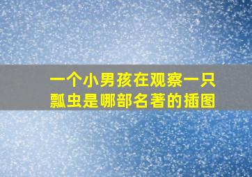 一个小男孩在观察一只瓢虫是哪部名著的插图