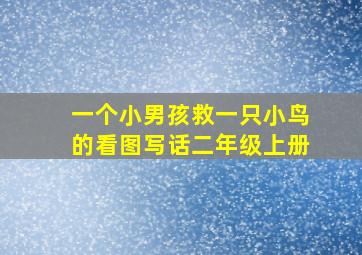 一个小男孩救一只小鸟的看图写话二年级上册