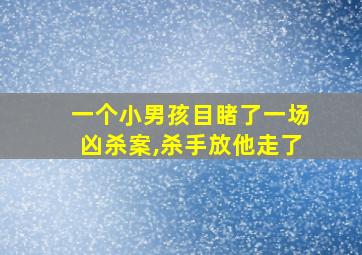 一个小男孩目睹了一场凶杀案,杀手放他走了