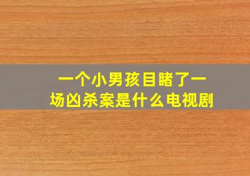 一个小男孩目睹了一场凶杀案是什么电视剧