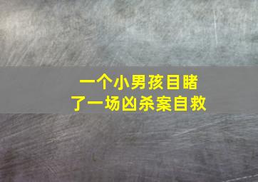 一个小男孩目睹了一场凶杀案自救