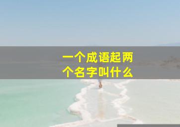 一个成语起两个名字叫什么