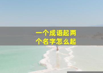 一个成语起两个名字怎么起