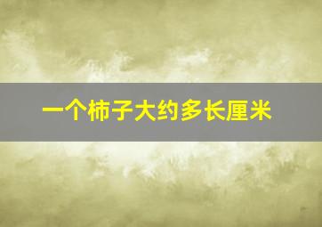 一个柿子大约多长厘米