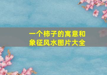 一个柿子的寓意和象征风水图片大全