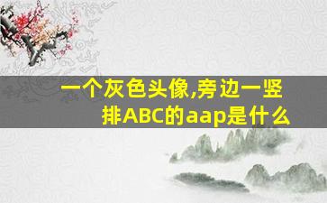 一个灰色头像,旁边一竖排ABC的aap是什么