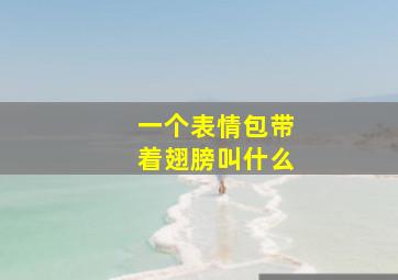 一个表情包带着翅膀叫什么