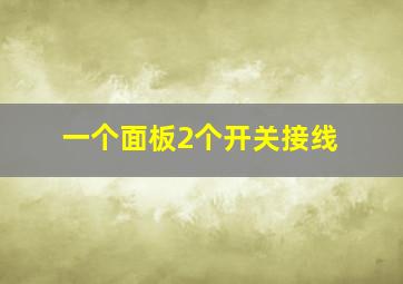 一个面板2个开关接线