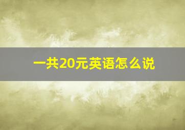 一共20元英语怎么说