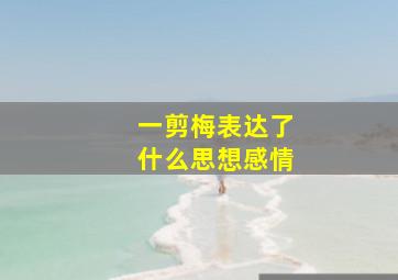 一剪梅表达了什么思想感情