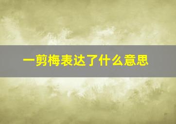 一剪梅表达了什么意思