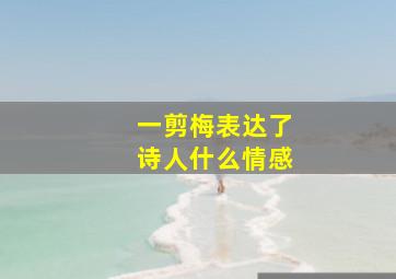 一剪梅表达了诗人什么情感