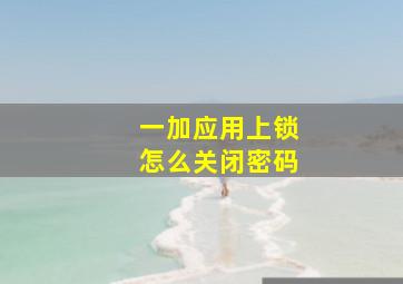 一加应用上锁怎么关闭密码