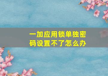 一加应用锁单独密码设置不了怎么办