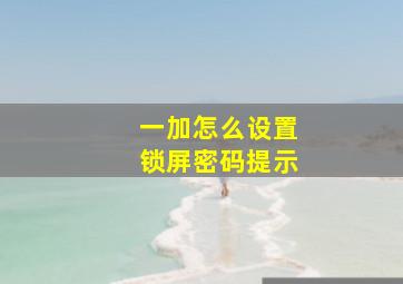 一加怎么设置锁屏密码提示