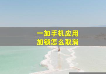 一加手机应用加锁怎么取消