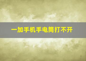 一加手机手电筒打不开