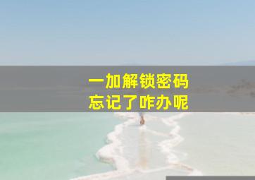 一加解锁密码忘记了咋办呢