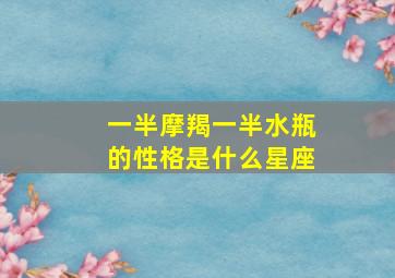 一半摩羯一半水瓶的性格是什么星座