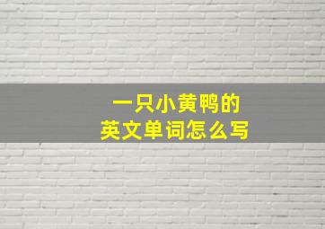 一只小黄鸭的英文单词怎么写