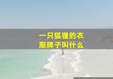 一只狐狸的衣服牌子叫什么