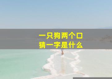 一只狗两个口猜一字是什么