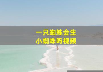 一只蜘蛛会生小蜘蛛吗视频