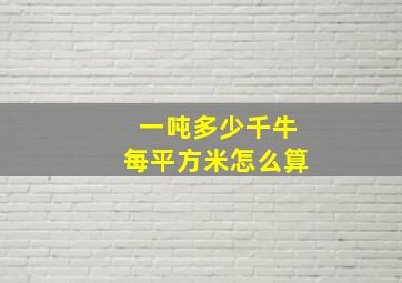 一吨多少千牛每平方米怎么算