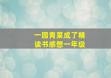 一园青菜成了精读书感想一年级