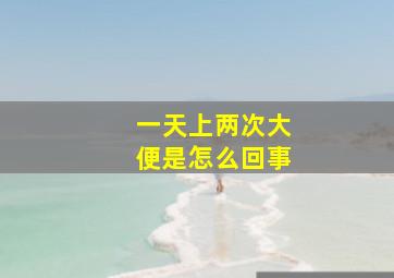 一天上两次大便是怎么回事