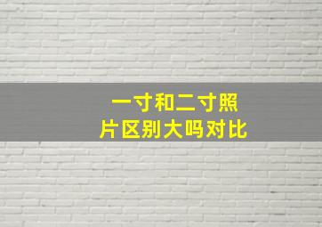 一寸和二寸照片区别大吗对比