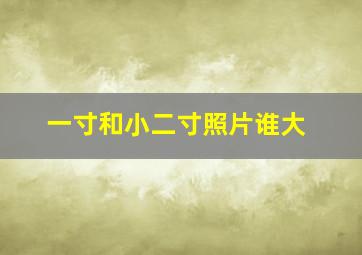 一寸和小二寸照片谁大