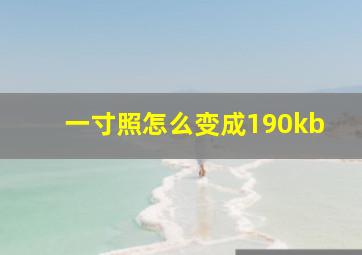 一寸照怎么变成190kb