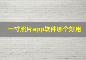 一寸照片app软件哪个好用