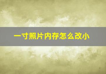 一寸照片内存怎么改小