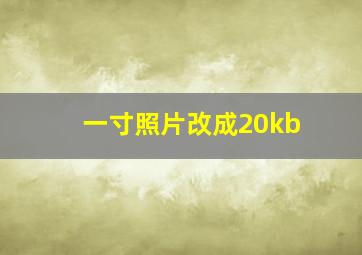 一寸照片改成20kb