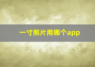 一寸照片用哪个app