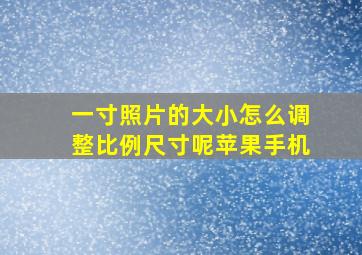 一寸照片的大小怎么调整比例尺寸呢苹果手机