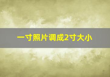 一寸照片调成2寸大小