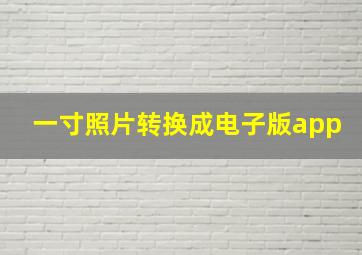 一寸照片转换成电子版app