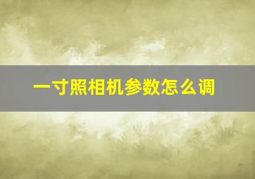 一寸照相机参数怎么调