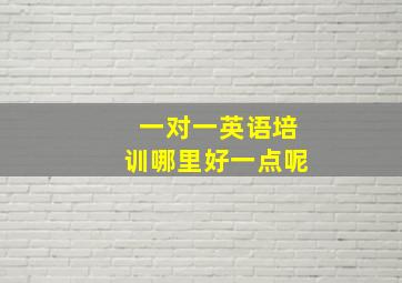 一对一英语培训哪里好一点呢