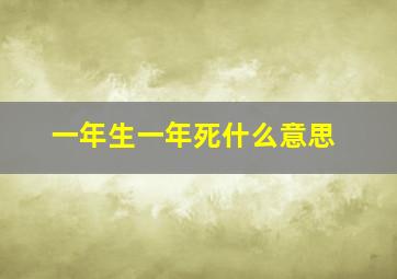 一年生一年死什么意思